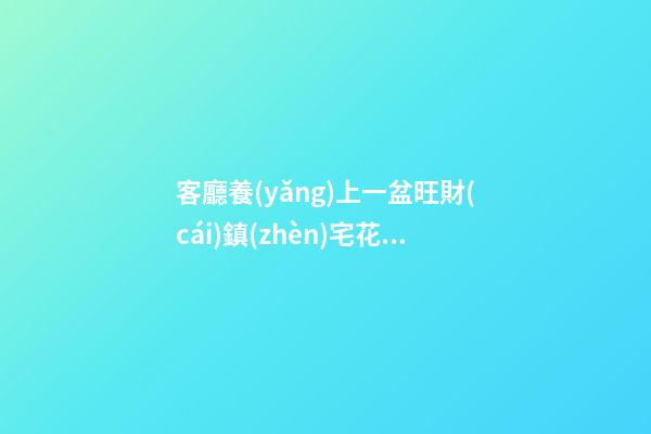 客廳養(yǎng)上一盆旺財(cái)鎮(zhèn)宅花，事事順意，就等著財(cái)源滾滾來吧！